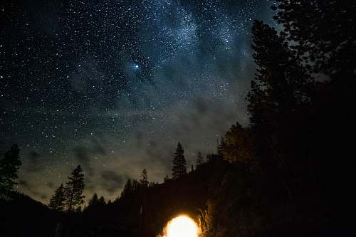 yosemite valley green trees during night time united states